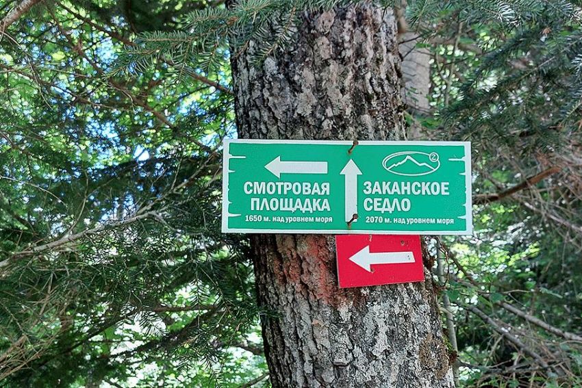 Горный лагерь в Дамхурце